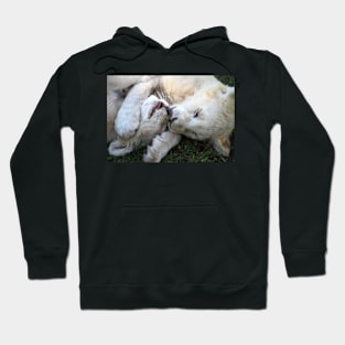 Play & Affection Hoodie